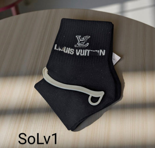 SoLv1