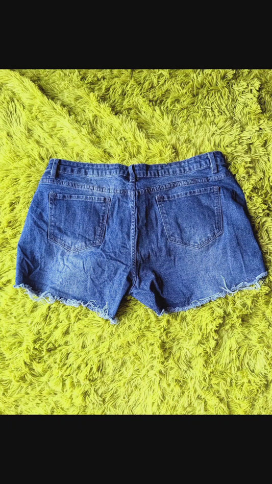 Denim Shorts Bundle Size 1x-4x 4pc: $11ea